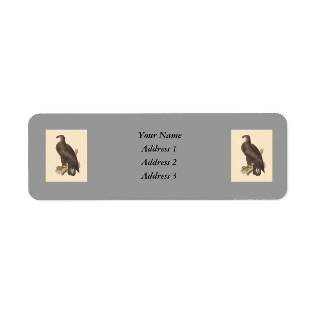 Der Adler (Haliaetos leucocephalus) (Vorne)