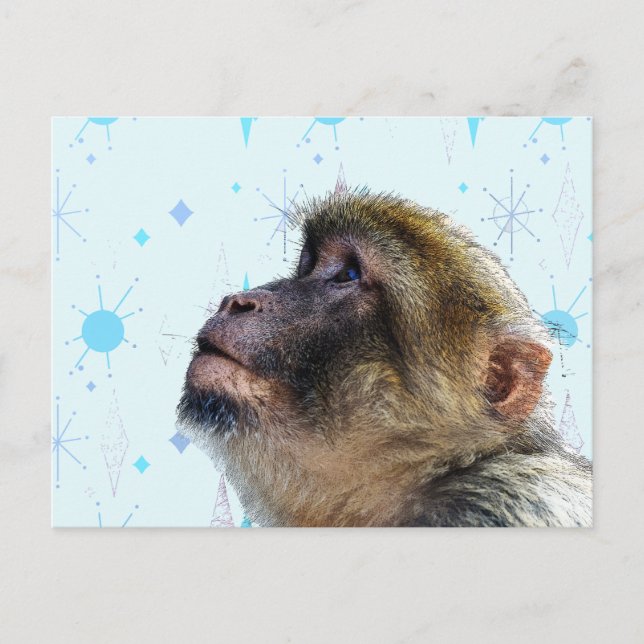 Der Affe blickt auf das moderne Hintergrundbild de Postkarte (Vorderseite)