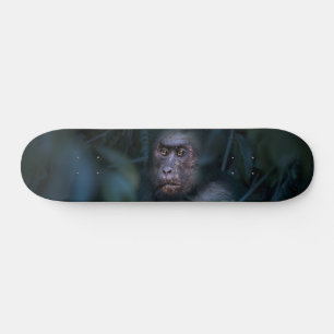 Der Affe im Dschungel Skateboard