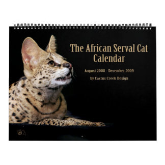 Der afrikanische Serval-Katzen-Kalender Kalender