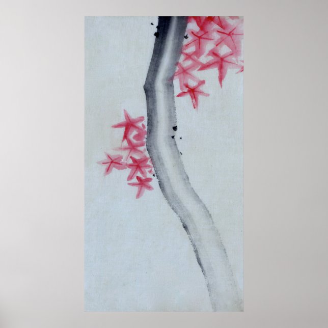 Der Ahorn Poster (Vorne)