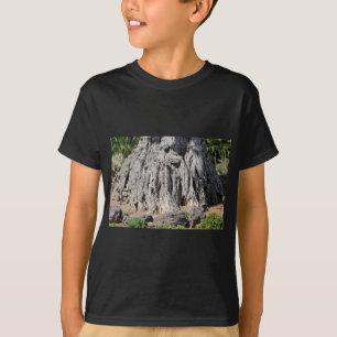 Der alte Drachenbaum auf Teneriffa T-Shirt