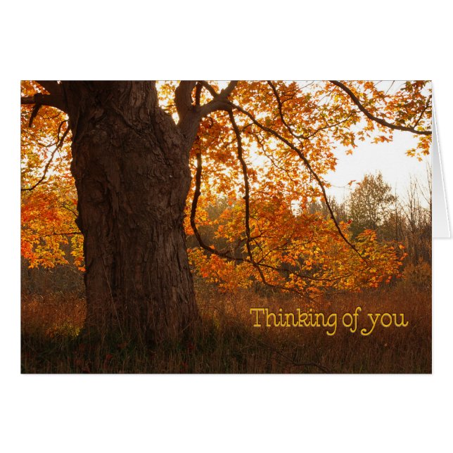 Der alte Eichenbaum (Vorderseite (Horizontal))