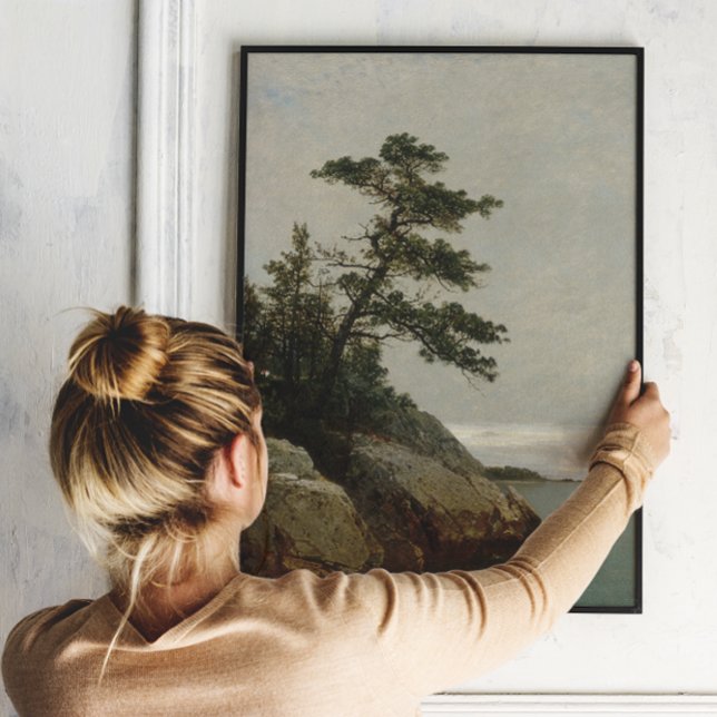 Der alte Kiefernwald, Darien, Connecticut | Kenset Fotodruck (Von Creator hochgeladen)