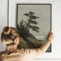 Der alte Kiefernwald, Darien, Connecticut | Kenset