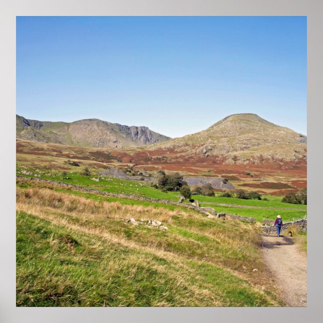 Der alte Mann der Postkartenkissen des Konistons Poster (Vorne)