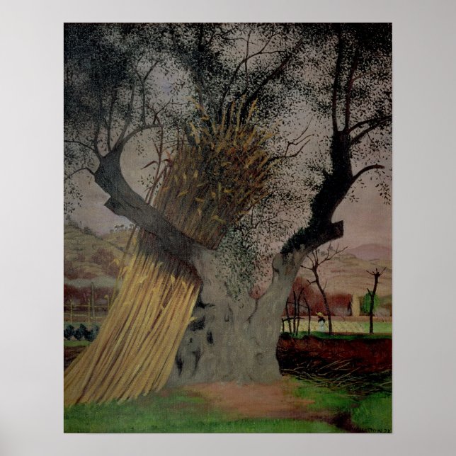 Der alte Olivenbaum, 1922 Poster (Vorne)