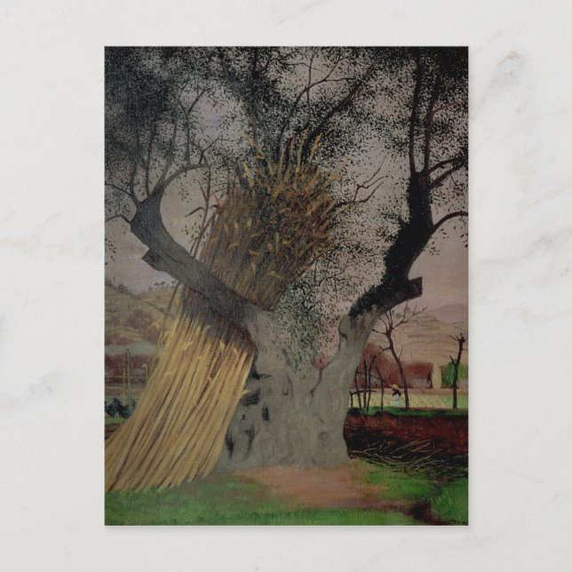 Der alte Olivenbaum, 1922 Postkarte (Vorderseite)