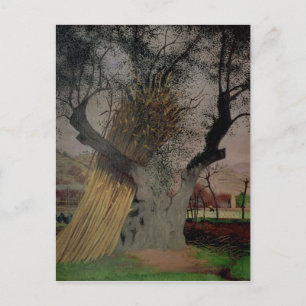 Der alte Olivenbaum, 1922 Postkarte