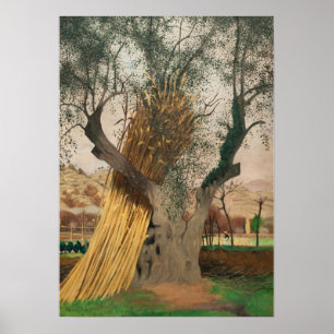 DER ALTE OLIVENBAUM POSTER