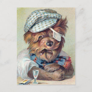 "Der alte Schlawiner" Vintage-Hund Postkarte