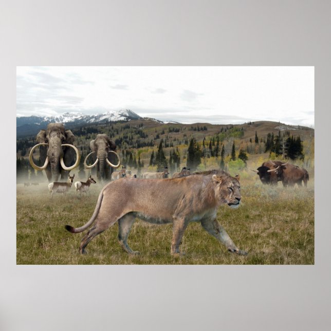 Der amerikanische Löwe mit Mammoths und Bison, Pos Poster (Vorne)