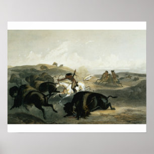 Der amerikanische Ureinwohner, der den Bison jagt, Poster