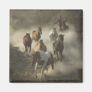 Der Antriebs-Magnet Magnet