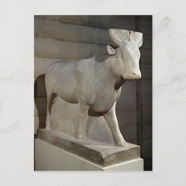Der Apis Bull aus dem Serapeum, Memphis Postkarte (Vorderseite)