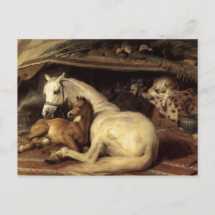 Der arabische Zelt  Edwin Landseer Postkarte