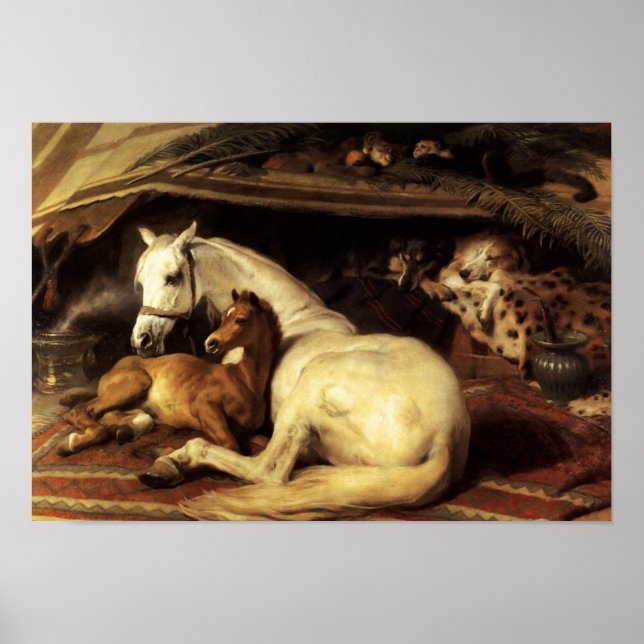 DER ARABISCHE ZELT MIT PFERDEN UND ANDEREN TIEREN POSTER (Vorne)