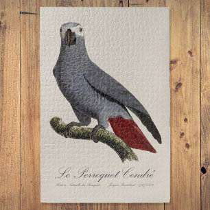 Der Aschepapagei - Illustration aus dem 19. Jahrhu Puzzle