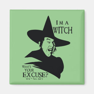 Der Assistent von OZ™   Ich bin eine Hexe Magnet