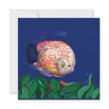 Der atemberaubende Fisch