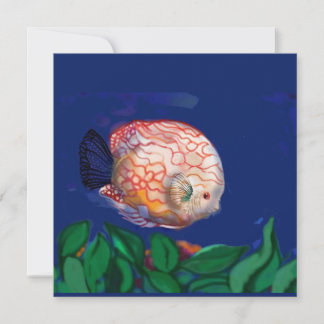 Der atemberaubende Fisch