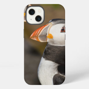 Der atlantische Papageientaucher, ein pelagischer iPhone 13 Hülle