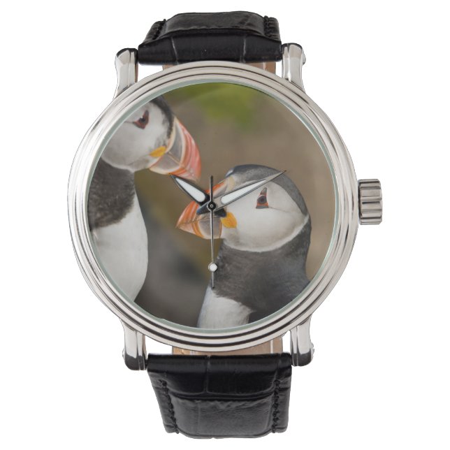 Der Atlantische Puffin Armbanduhr (Vorderseite)