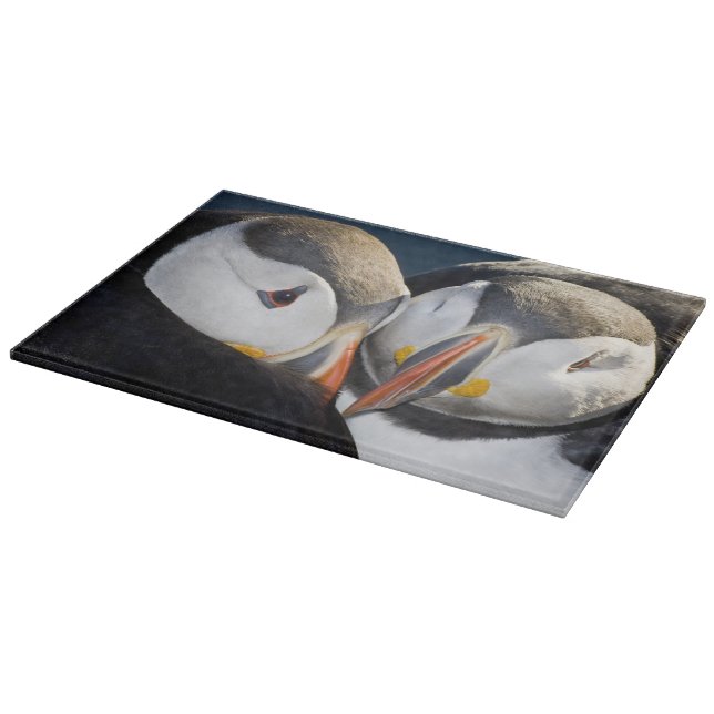 Der Atlantische Puffin, ein pelagischer Seevögel Schneidebrett (Ecke)