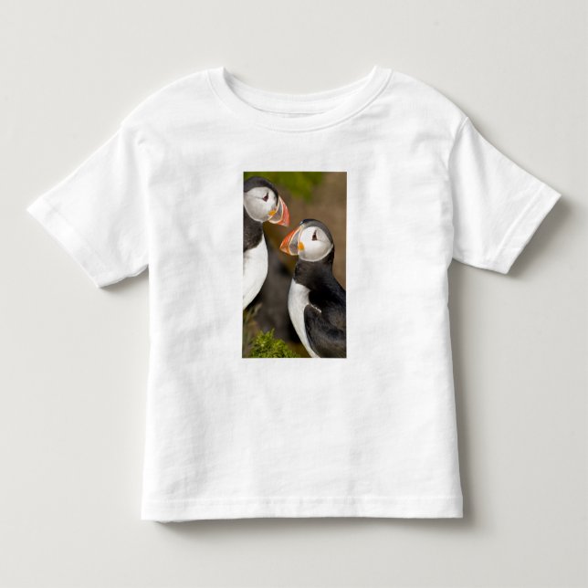 Der Atlantische Puffin Kleinkind T-shirt (Vorderseite)