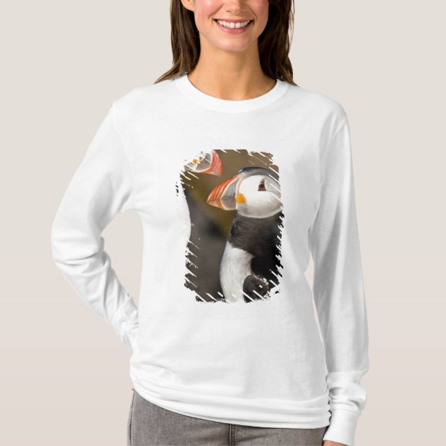 Der Atlantische Puffin T-Shirt (Vorderseite)