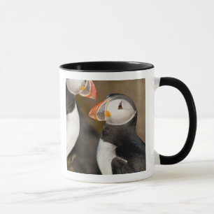Der Atlantische Puffin Tasse