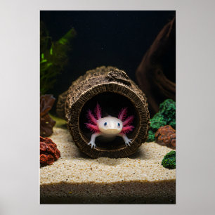 Der Aufenthalt des Axolotl Poster