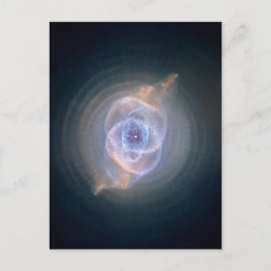 Der Augennebel der Katze Postkarte