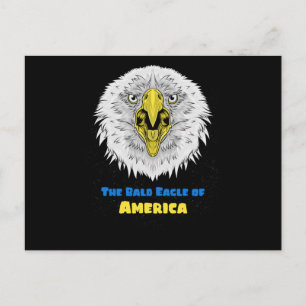 Der Bald-Adler der Amerikaner - US-Emblem Postkarte