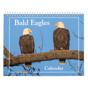 Der Bald-Adler Kalender