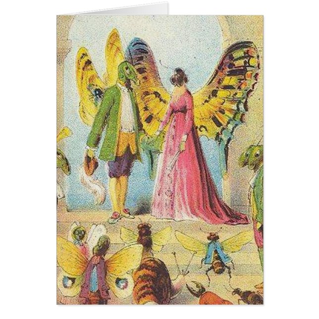 Der Ball des Schmetterlings (Vorne)