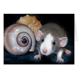 Der Bann "der Schönheit"!