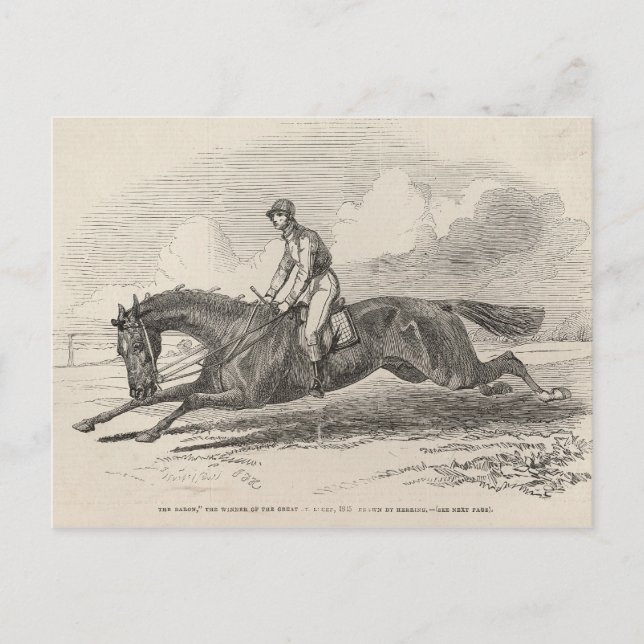 Der Baron, der Gewinner der Großen St. Leger Postkarte (Vorderseite)