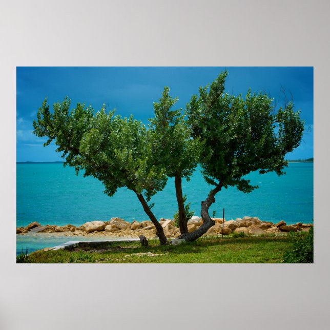 Der Baum "Alles was du brauchst ist Liebe" ! Poster (Vorne)