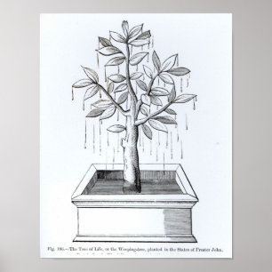 Der Baum des Lebens oder der weiche Baum Poster