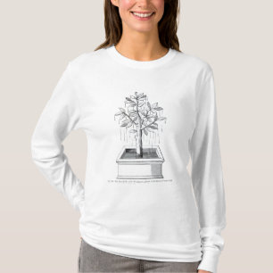Der Baum des Lebens oder der weinende Baum T-Shirt