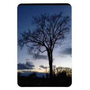 Der Baum im Twilight Magnet