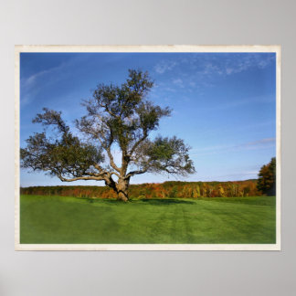 Der Baum in Topsmead Poster