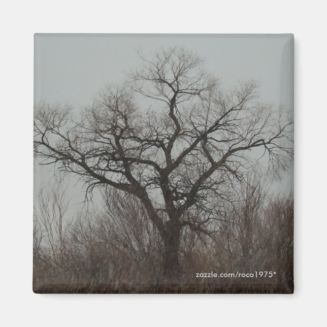 Der Baum Magnet (Vorne)