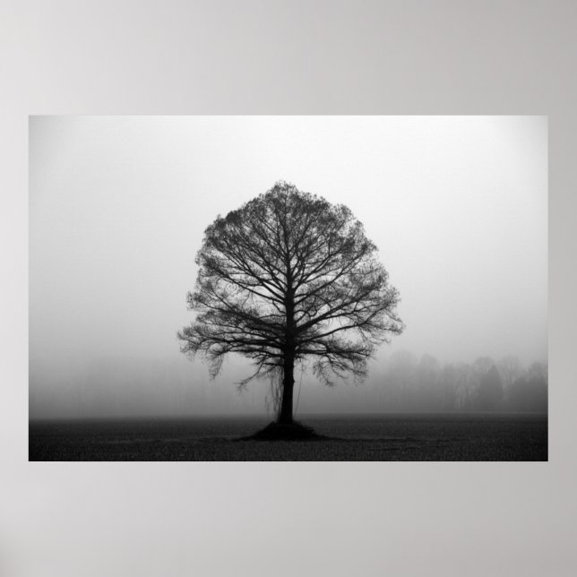Der Baum Poster (Vorne)