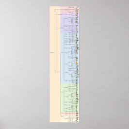 Der Baum von Yum: Plantae Poster