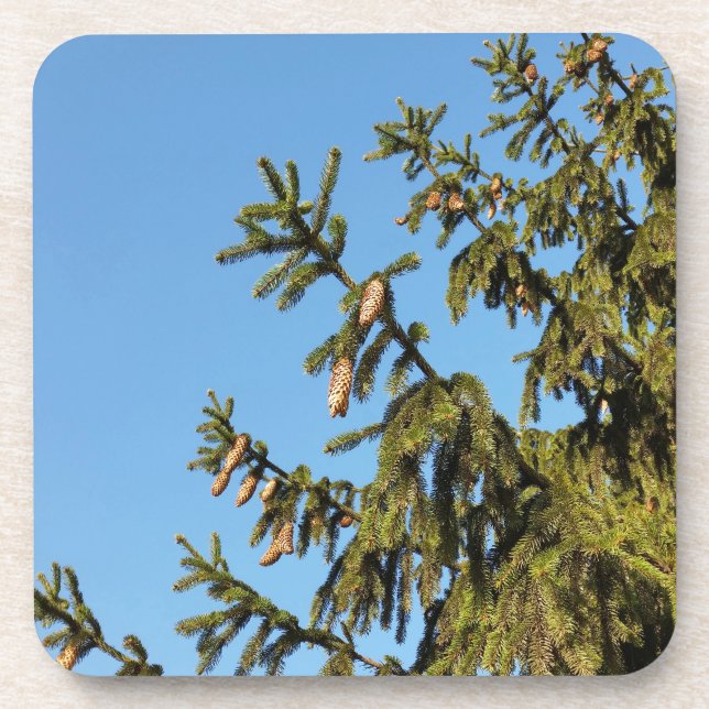 Der Baum zu Weihnachten Getränkeuntersetzer (Vorderseite)