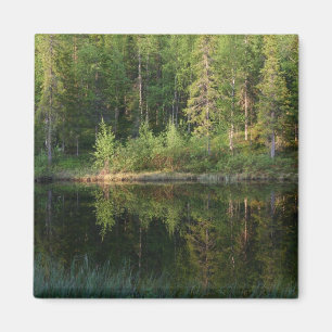 Der benutzerdefinierte Magnet der Natur-Reflektion