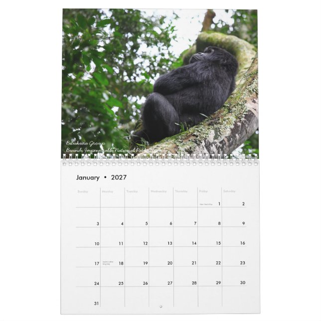 Der Berggorilla. Keine US-Feiertage Kalender (Jan 2027)