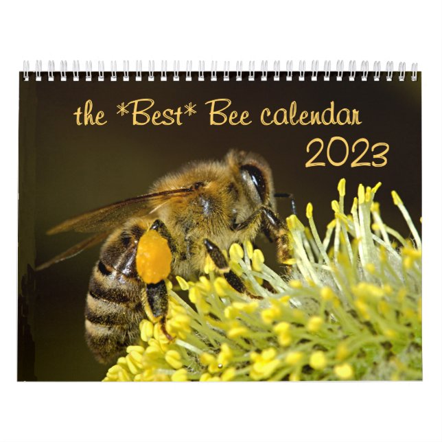 Der beste Bienenkalender 2023 mit Fotos und Beschr Kalender (Titelbild)